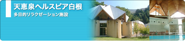 天恵泉ヘルスピア白根